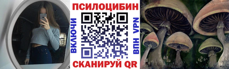 Купить где Сорск Псилоцибиновые грибы прущие грибы